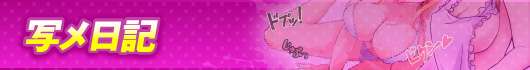 写メ日記
